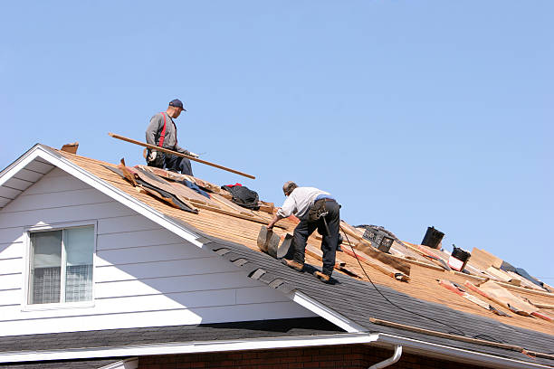 Best Roof Insulation Installation  in Mill Bay, AK